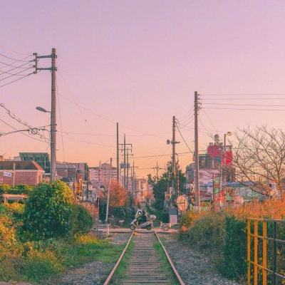 42982金牛网论坛下载手机版