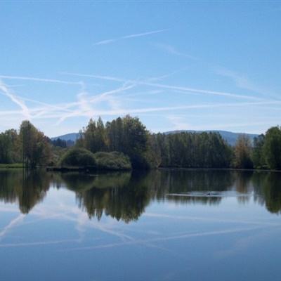 澳门银银河官方网welcomeapp下载