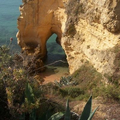 加拿大28手机app下载