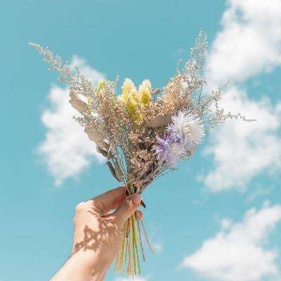 半导综合体育下载