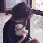 开云体云app下载手机版